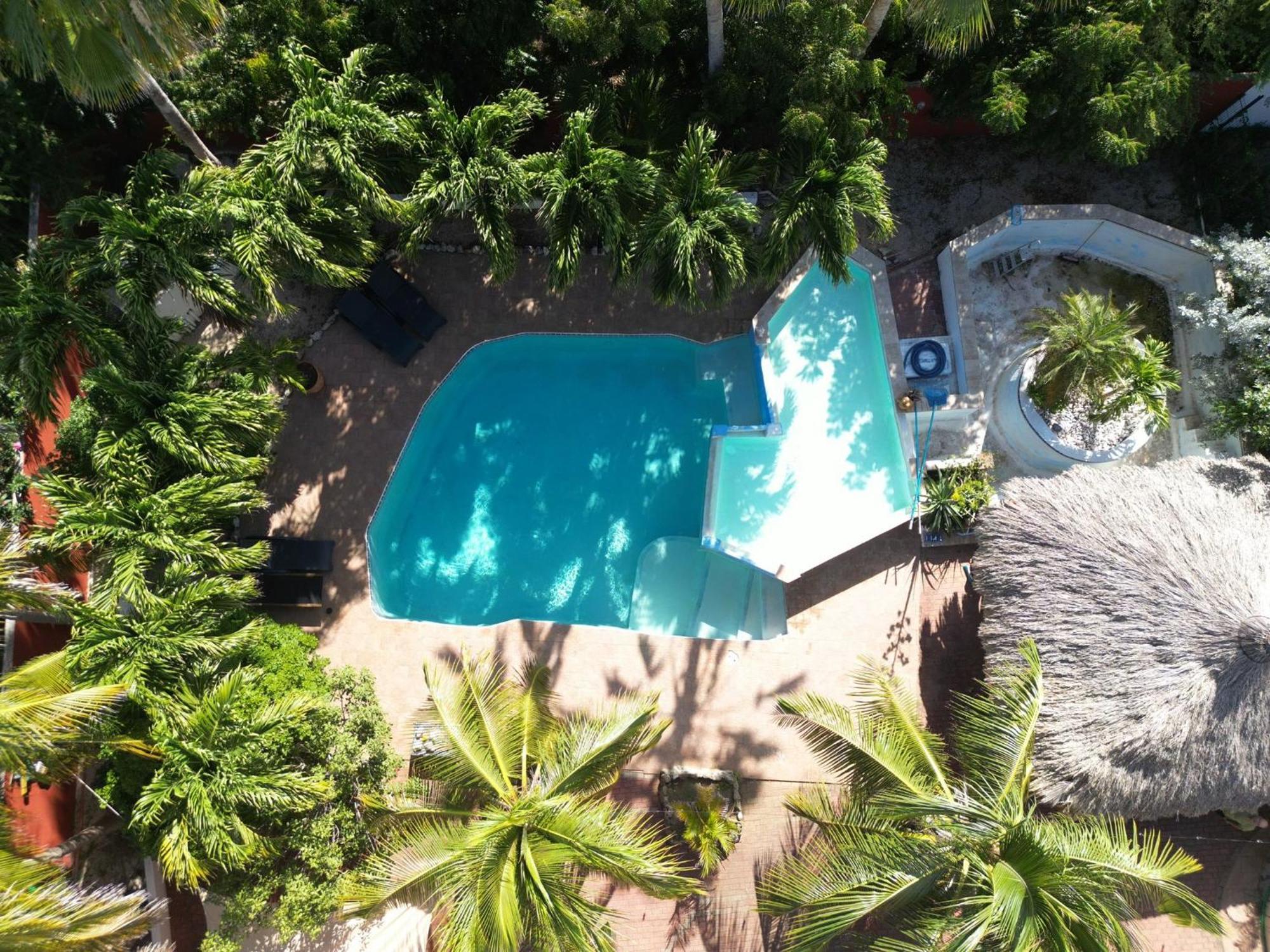 Woodstock Palmresort Curacao ウィレムスタッド エクステリア 写真